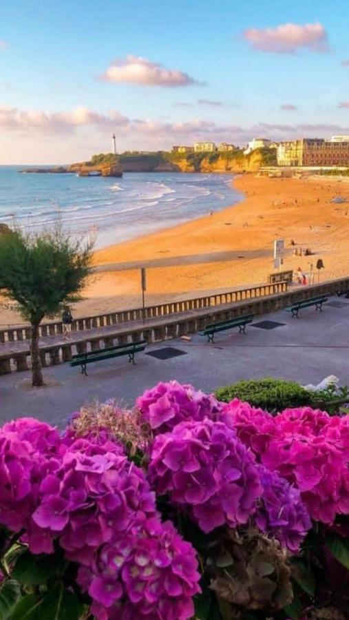 Residence La Croisiere- Appt Duplex 6 Personnes Anglet Eksteriør billede